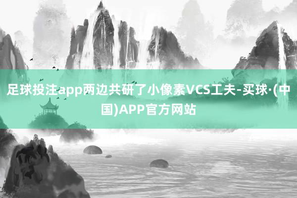 足球投注app两边共研了小像素VCS工夫-买球·(中国)APP官方网站