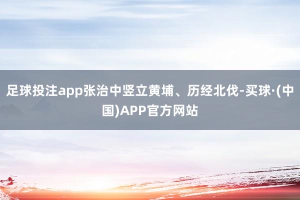 足球投注app张治中竖立黄埔、历经北伐-买球·(中国)APP官方网站