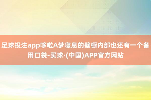 足球投注app哆啦A梦寝息的壁橱内部也还有一个备用口袋-买球·(中国)APP官方网站