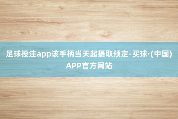 足球投注app该手柄当天起摄取预定-买球·(中国)APP官方网站
