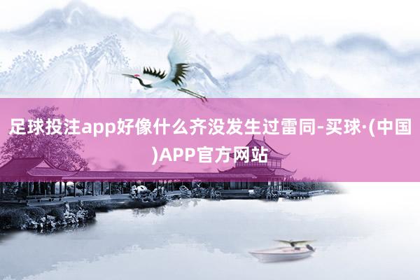 足球投注app好像什么齐没发生过雷同-买球·(中国)APP官方网站