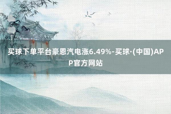 买球下单平台豪恩汽电涨6.49%-买球·(中国)APP官方网站
