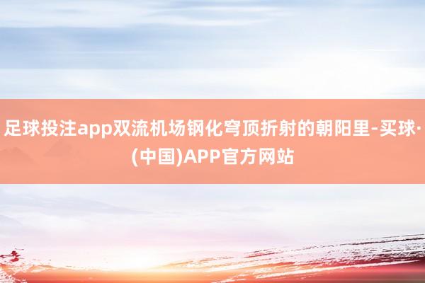 足球投注app双流机场钢化穹顶折射的朝阳里-买球·(中国)APP官方网站