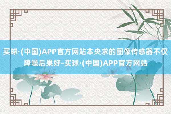 买球·(中国)APP官方网站本央求的图像传感器不仅降噪后果好-买球·(中国)APP官方网站