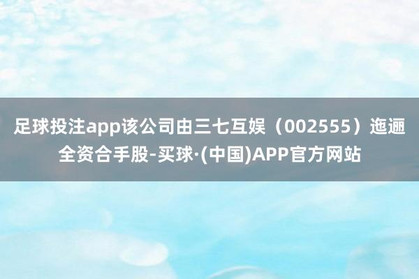 足球投注app该公司由三七互娱(002555)迤逦全资合手股-买球·(中国)APP官方网站
