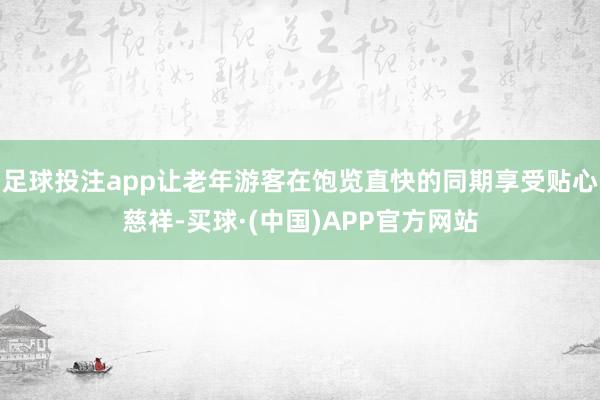 足球投注app让老年游客在饱览直快的同期享受贴心慈祥-买球·(中国)APP官方网站