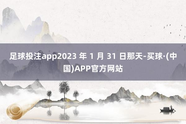 足球投注app2023 年 1 月 31 日那天-买球·(中国)APP官方网站