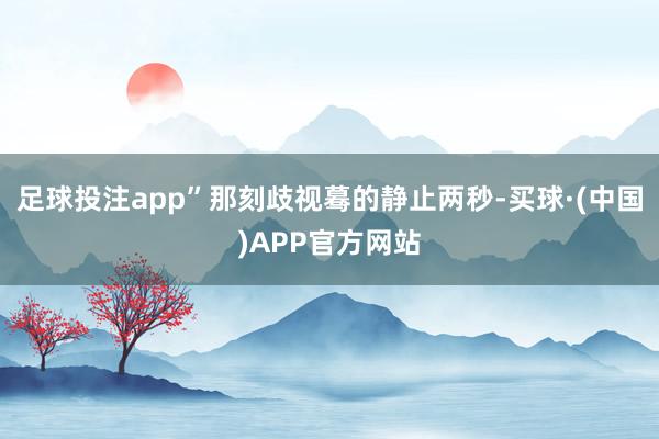 足球投注app”那刻歧视蓦的静止两秒-买球·(中国)APP官方网站