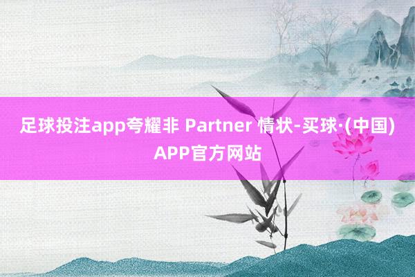 足球投注app夸耀非 Partner 情状-买球·(中国)APP官方网站