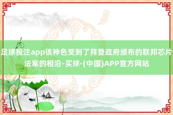足球投注app该神色受到了拜登政府颁布的联邦芯片法案的相沿-买球·(中国)APP官方网站