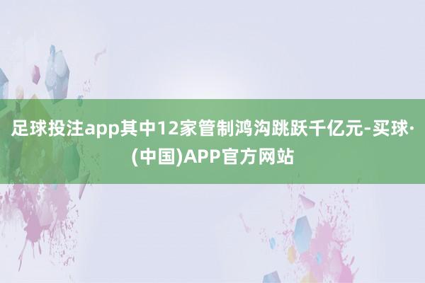 足球投注app其中12家管制鸿沟跳跃千亿元-买球·(中国)APP官方网站