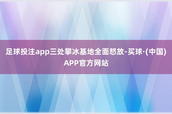 足球投注app三处攀冰基地全面怒放-买球·(中国)APP官方网站