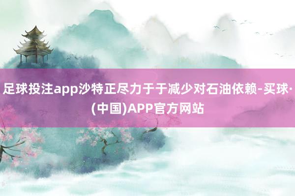 足球投注app沙特正尽力于于减少对石油依赖-买球·(中国)APP官方网站
