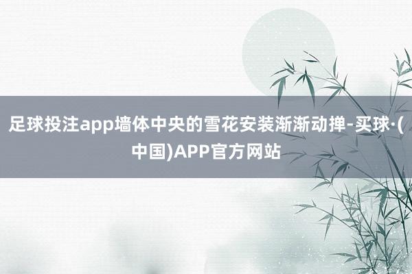 足球投注app墙体中央的雪花安装渐渐动掸-买球·(中国)APP官方网站
