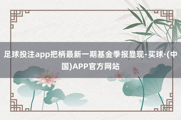 足球投注app把柄最新一期基金季报显现-买球·(中国)APP官方网站