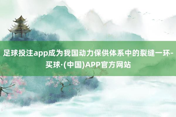 足球投注app成为我国动力保供体系中的裂缝一环-买球·(中国)APP官方网站
