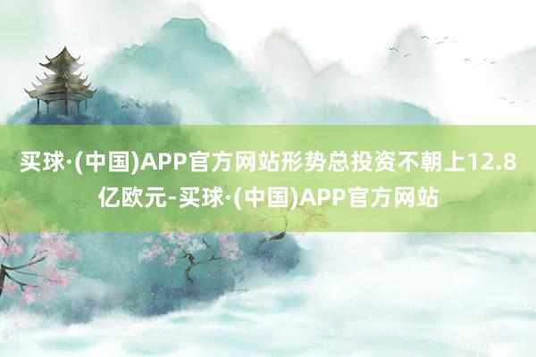买球·(中国)APP官方网站形势总投资不朝上12.8亿欧元-买球·(中国)APP官方网站