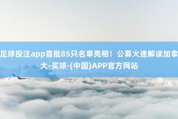 足球投注app首批85只名单亮相！公募火速解读加拿大-买球·(中国)APP官方网站