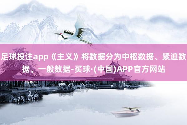 足球投注app《主义》将数据分为中枢数据、紧迫数据、一般数据-买球·(中国)APP官方网站