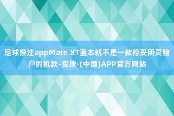 足球投注appMate XT蓝本就不是一款稳妥所灵验户的机款-买球·(中国)APP官方网站