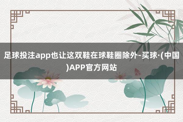 足球投注app也让这双鞋在球鞋圈除外-买球·(中国)APP官方网站