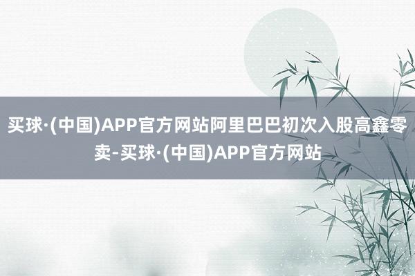 买球·(中国)APP官方网站阿里巴巴初次入股高鑫零卖-买球·(中国)APP官方网站