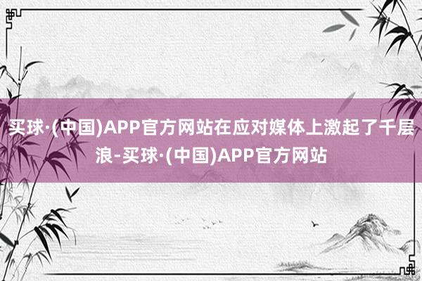 买球·(中国)APP官方网站在应对媒体上激起了千层浪-买球·(中国)APP官方网站
