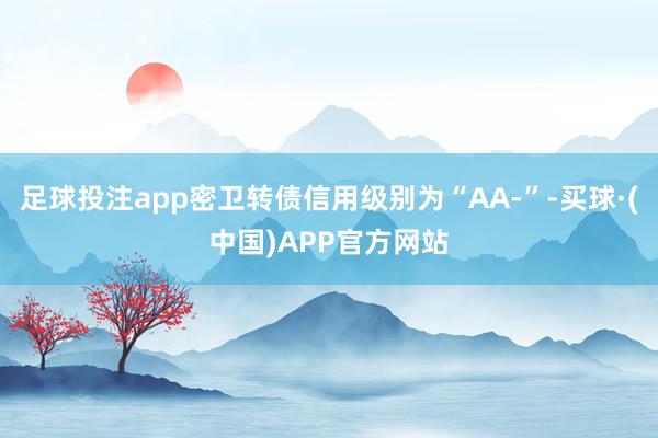 足球投注app密卫转债信用级别为“AA-”-买球·(中国)APP官方网站