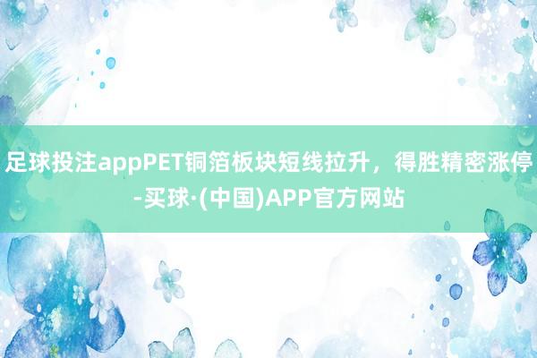 足球投注appPET铜箔板块短线拉升，得胜精密涨停-买球·(中国)APP官方网站