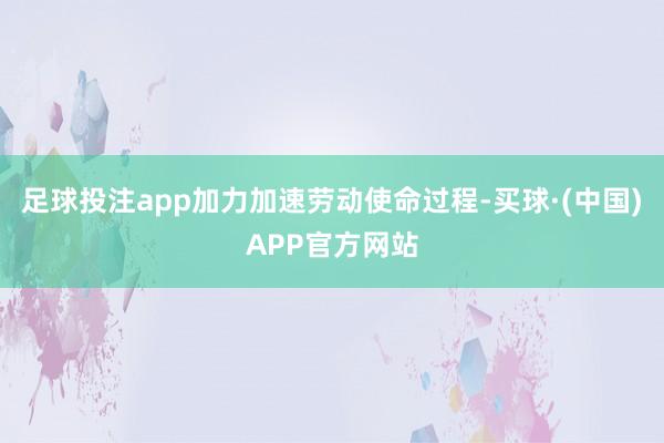 足球投注app加力加速劳动使命过程-买球·(中国)APP官方网站