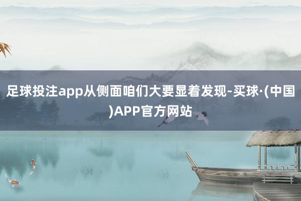 足球投注app从侧面咱们大要显着发现-买球·(中国)APP官方网站