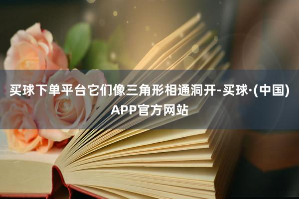买球下单平台它们像三角形相通洞开-买球·(中国)APP官方网站