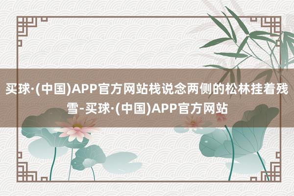 买球·(中国)APP官方网站栈说念两侧的松林挂着残雪-买球·(中国)APP官方网站