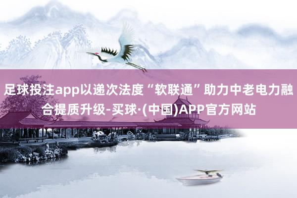 足球投注app以递次法度“软联通”助力中老电力融合提质升级-买球·(中国)APP官方网站