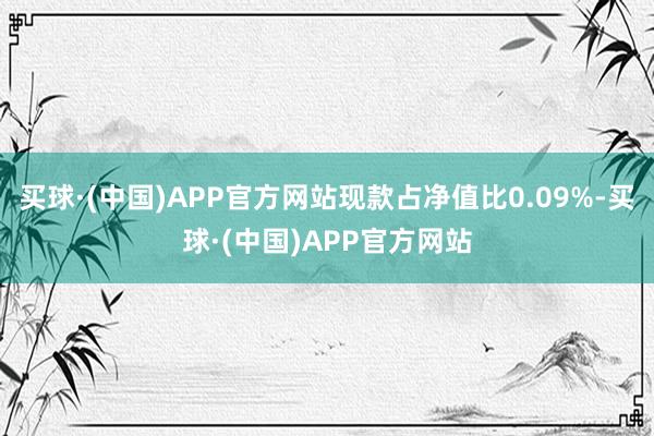 买球·(中国)APP官方网站现款占净值比0.09%-买球·(中国)APP官方网站