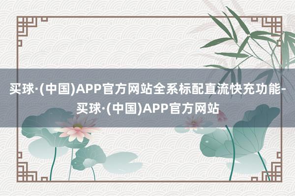 买球·(中国)APP官方网站全系标配直流快充功能-买球·(中国)APP官方网站