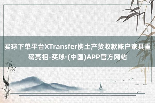 买球下单平台XTransfer携土产货收款账户家具重磅亮相-买球·(中国)APP官方网站